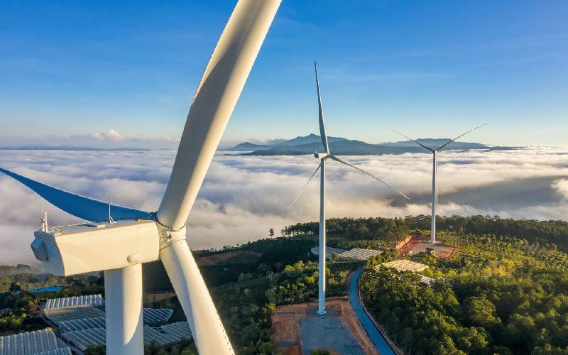 wind farm