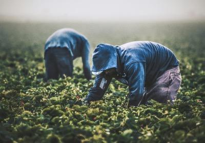 investment in food production using environmentally friendly methods